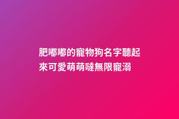 肥嘟嘟的寵物狗名字聽起來可愛萌萌噠無限寵溺