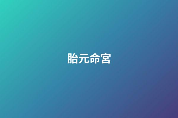 胎元命宮