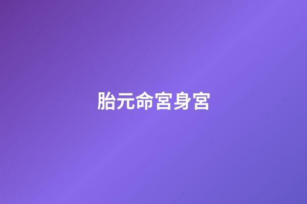 胎元命宮身宮