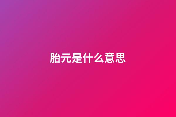 胎元是什么意思