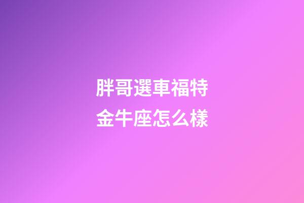胖哥選車福特金牛座怎么樣-第1張-星座運勢-玄機派