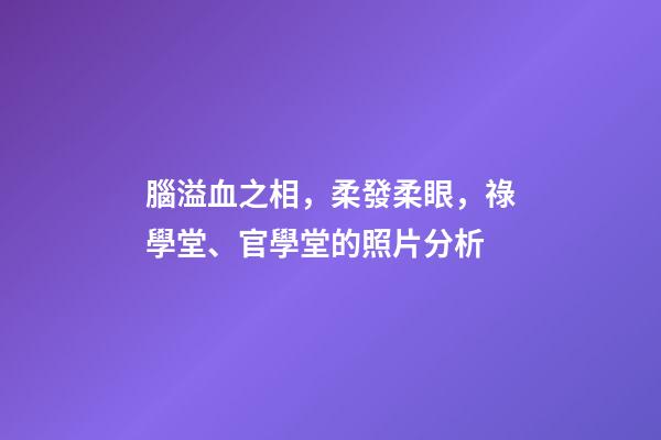 腦溢血之相，柔發柔眼，祿學堂、官學堂的照片分析