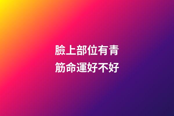 臉上部位有青筋命運好不好