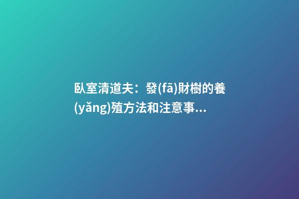 臥室清道夫：發(fā)財樹的養(yǎng)殖方法和注意事項
