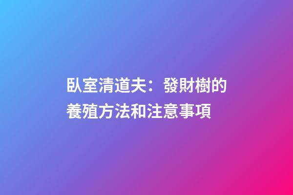 臥室清道夫：發財樹的養殖方法和注意事項