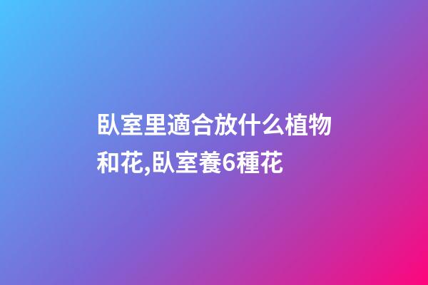 臥室里適合放什么植物和花,臥室養6種花-第1張-觀點-玄機派