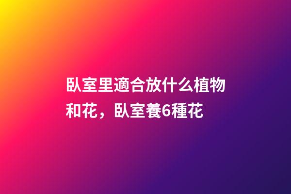 臥室里適合放什么植物和花，臥室養6種花-第1張-觀點-玄機派