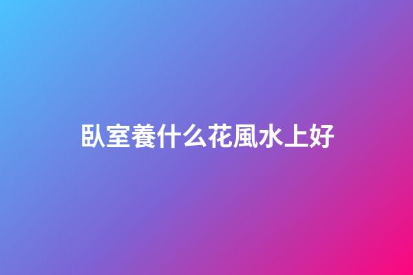 臥室養什么花風水上好