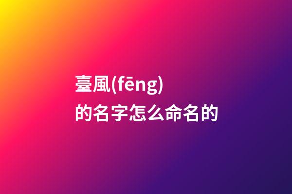 臺風(fēng)的名字怎么命名的