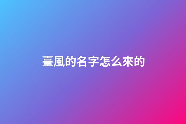 臺風的名字怎么來的