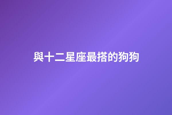 與十二星座最搭的狗狗-第1張-星座運勢-玄機派