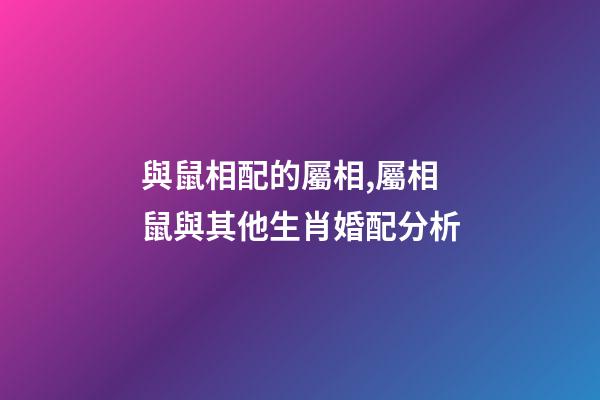 與鼠相配的屬相,屬相鼠與其他生肖婚配分析-第1張-觀點-玄機派