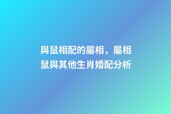 與鼠相配的屬相，屬相鼠與其他生肖婚配分析-第1張-觀點-玄機派