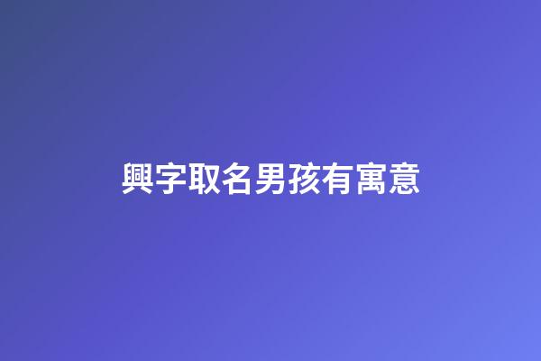 興字取名男孩有寓意(興字男孩兒名字大全)-第1張-男孩起名-玄機派