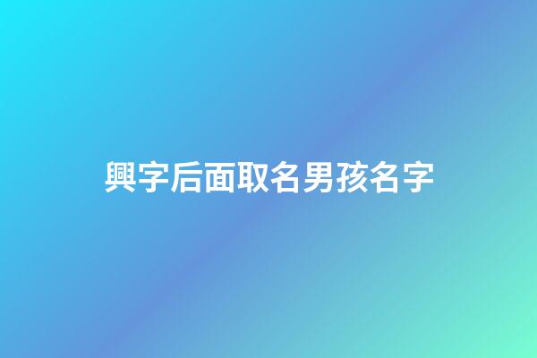 興字后面取名男孩名字(興字后面取名男孩名字大全)-第1張-男孩起名-玄機派