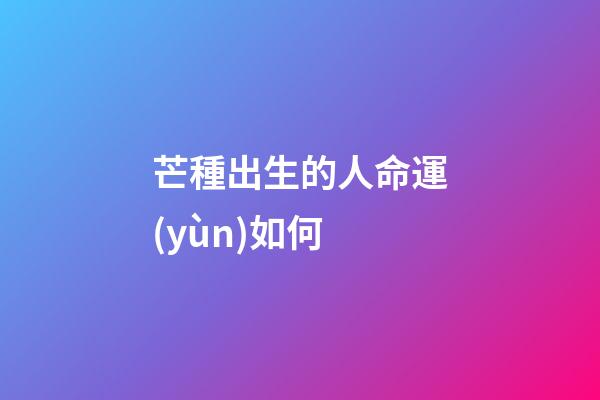 芒種出生的人命運(yùn)如何