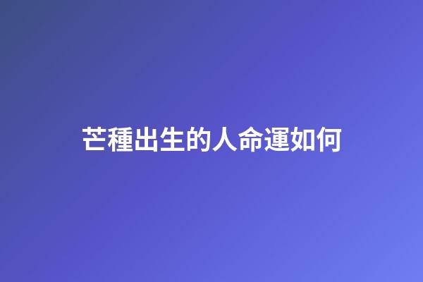 芒種出生的人命運如何