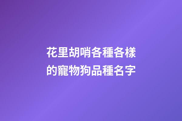 花里胡哨各種各樣的寵物狗品種名字