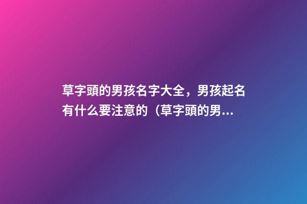 草字頭的男孩名字大全，男孩起名有什么要注意的（草字頭的男孩名字大全,男孩起名有什么要注意的嗎）