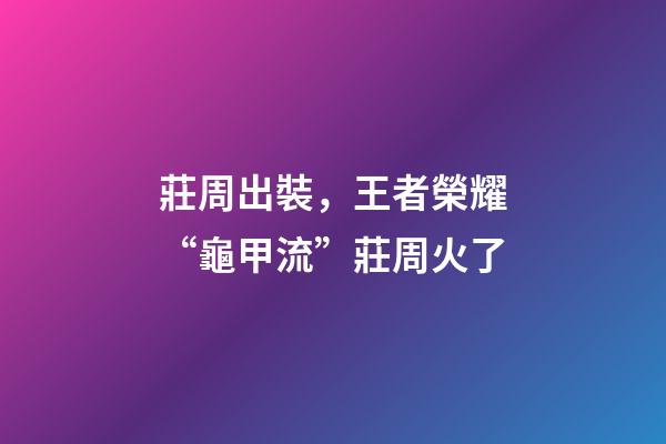 莊周出裝，王者榮耀“龜甲流”莊周火了-第1張-觀點-玄機派