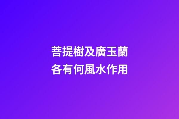 菩提樹及廣玉蘭各有何風水作用?