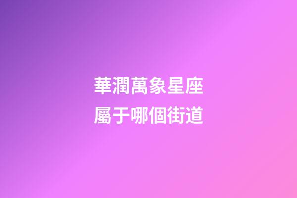 華潤萬象星座屬于哪個街道