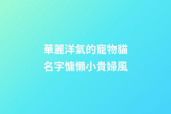 華麗洋氣的寵物貓名字慵懶小貴婦風