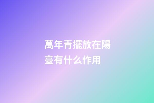 萬年青擺放在陽臺有什么作用