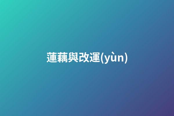 蓮藕與改運(yùn)