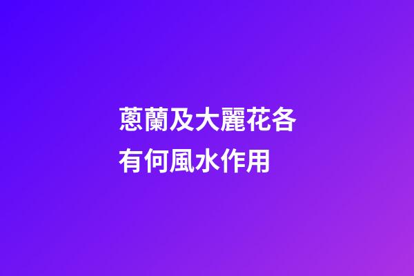 蔥蘭及大麗花各有何風水作用?