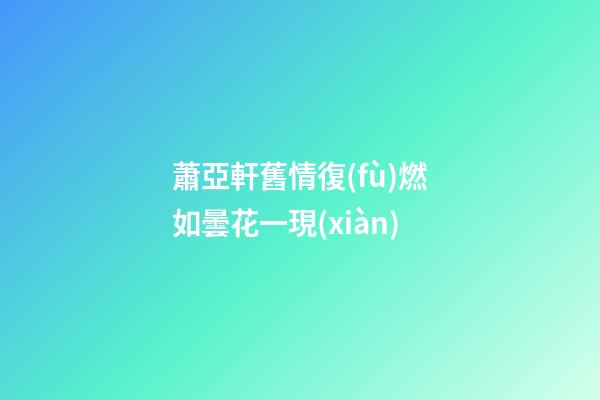 蕭亞軒舊情復(fù)燃如曇花一現(xiàn)