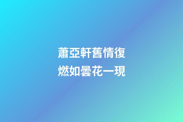 蕭亞軒舊情復燃如曇花一現