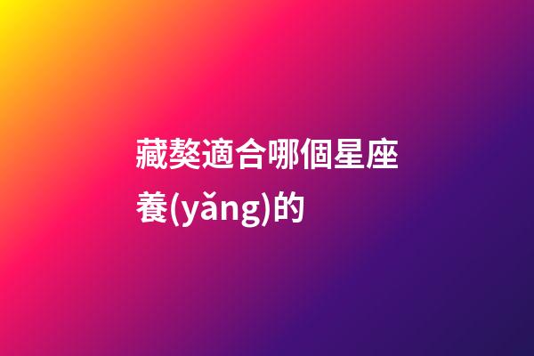 藏獒適合哪個星座養(yǎng)的