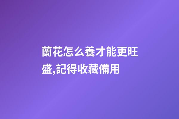 蘭花怎么養才能更旺盛,記得收藏備用-第1張-觀點-玄機派