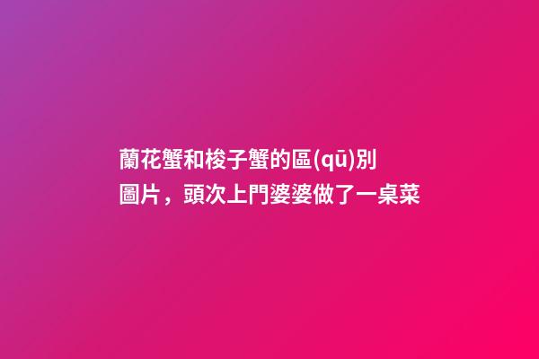蘭花蟹和梭子蟹的區(qū)別圖片，頭次上門婆婆做了一桌菜