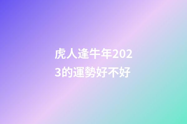 虎人逢牛年2023的運勢好不好