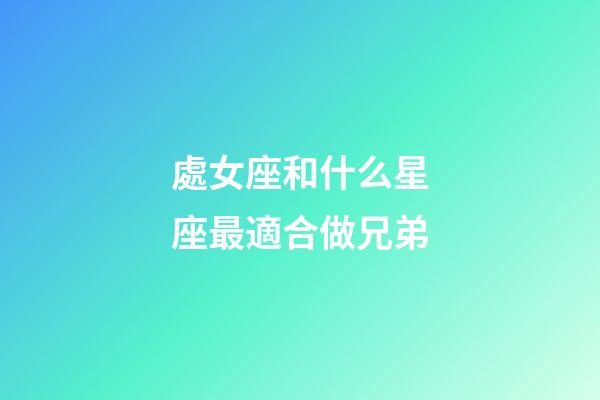 處女座和什么星座最適合做兄弟-第1張-星座運(yùn)勢(shì)-玄機(jī)派