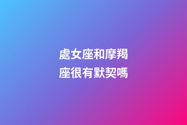 處女座和摩羯座很有默契嗎-第1張-星座運勢-玄機派