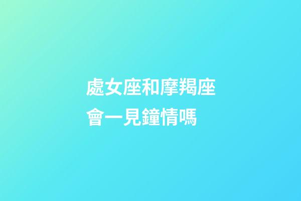 處女座和摩羯座會一見鐘情嗎-第1張-星座運勢-玄機派