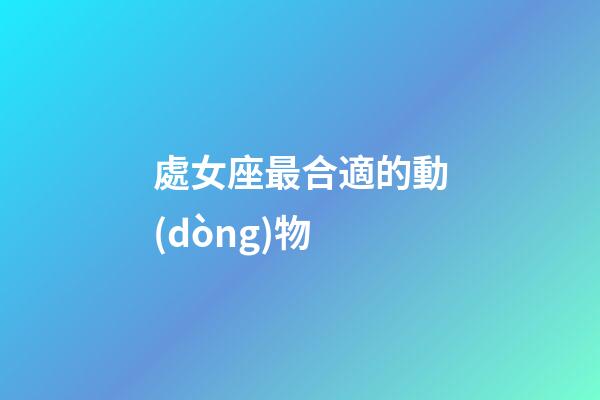 處女座最合適的動(dòng)物