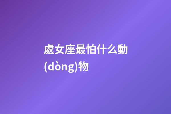 處女座最怕什么動(dòng)物-第1張-星座運(yùn)勢(shì)-玄機(jī)派