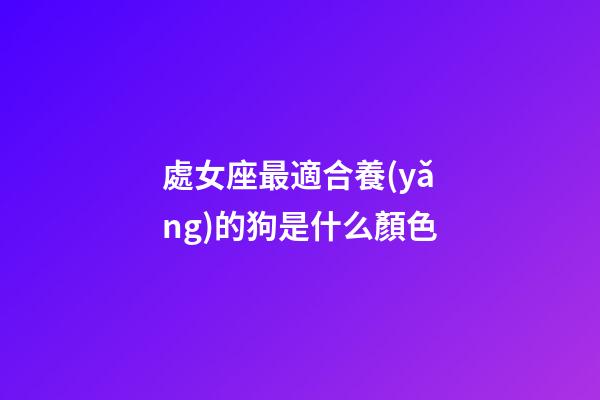 處女座最適合養(yǎng)的狗是什么顏色-第1張-星座運勢-玄機派