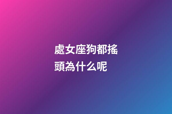 處女座狗都搖頭為什么呢-第1張-星座運勢-玄機派