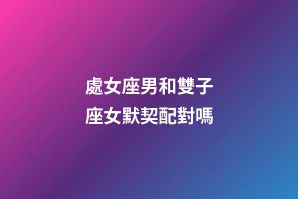 處女座男和雙子座女默契配對嗎-第1張-星座運勢-玄機派