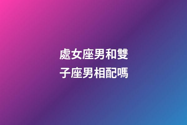 處女座男和雙子座男相配嗎-第1張-星座運勢-玄機派