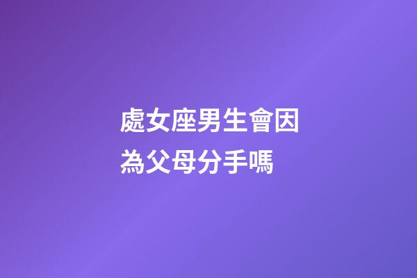 處女座男生會因為父母分手嗎-第1張-星座運勢-玄機派