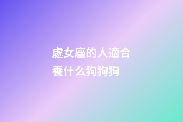 處女座的人適合養什么狗狗狗-第1張-星座運勢-玄機派