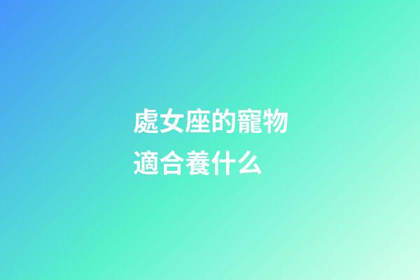 處女座的寵物適合養什么-第1張-星座運勢-玄機派