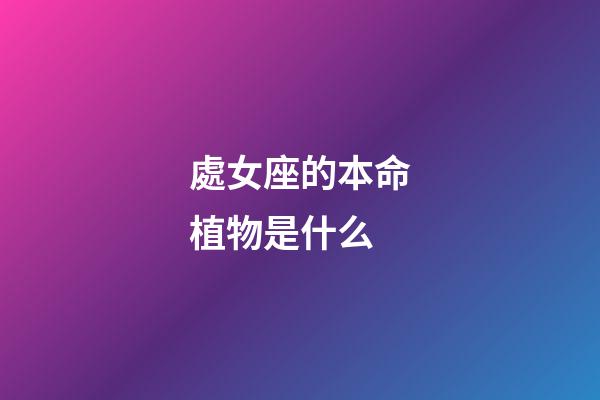 處女座的本命植物是什么-第1張-星座運勢-玄機派