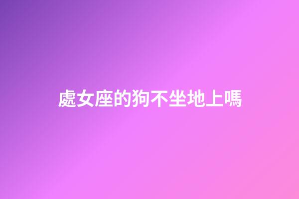 處女座的狗不坐地上嗎-第1張-星座運(yùn)勢(shì)-玄機(jī)派
